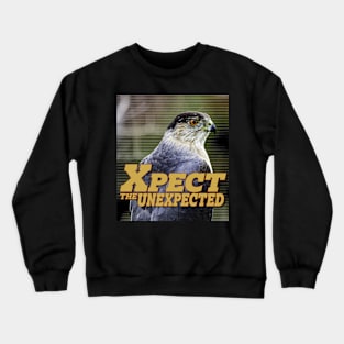 Xpect the Unexpected Hawk2 Crewneck Sweatshirt